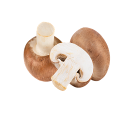 CHAMPIGNONS