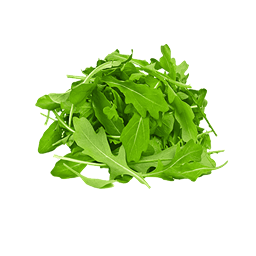 ROQUETTE